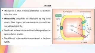 thiazide
 