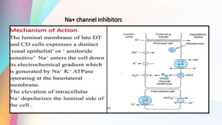 Na+ channel inhibitors
 