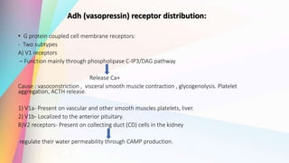 Adh (vasopressin) receptor distribution:
• G protein coupled cell membrane receptors:
- Two subtypes
A) V1 receptors
– Function mainly through phospholipase C-IP3/DAG pathway
Release Ca+
Cause : vasoconstriction , visceral smooth muscle contraction , glycogenolysis. Platelet
aggregation, ACTH release.
1) V1a- Present on vascular and other smooth muscles platelets, liver.
2) V1b- Localized to the anterior pituitary.
B)V2 receptors- Present on collecting duct (CD) cells in the kidney
regulate their water permeability through CAMP production.
 