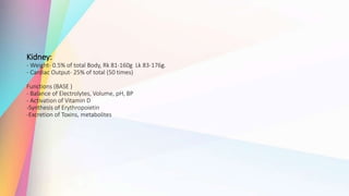Kidney:
- Weight- 0.5% of total Body, Rk 81-160g Lk 83-176g.
- Cardiac Output- 25% of total (50 times)
Functions (BASE )
- Balance of Electrolytes, Volume, pH, BP
- Activation of Vitamin D
-Synthesis of Erythropoietin
-Excretion of Toxins, metabolites
 