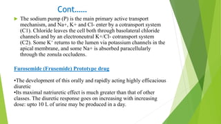 Cont……
 The sodium pump (P) is the main primary active transport
mechanism, and Na+, K+ and Cl- enter by a cotransport system
(C1). Chloride leaves the cell both through basolateral chloride
channels and by an electroneutral K+/Cl- cotransport system
(C2). Some K+ returns to the lumen via potassium channels in the
apical membrane, and some Na+ is absorbed paracellularly
through the zonula occludens.
Furosemide (Frusemide) Prototype drug
•The development of this orally and rapidly acting highly efficacious
diuretic
•Its maximal natriuretic effect is much greater than that of other
classes. The diuretic response goes on increasing with increasing
dose: upto 10 L of urine may be produced in a day.
 
