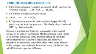 CARBONIC ANHYDRASE INHIBITORS
 1. Carbonic anhydrase (CAse) is an enzyme which catalyses the
reversible reaction. H2O + CO2 ↔ H2CO3.
 2. Carbonic acid spontaneously ionises.
 H2CO3 ↔ H+ + HCO3
 3. The enzyme is present in renal tubular cell (specially PT)
gastric mucosa, exocrine pancreas, ciliary body of eye, brain and
RBC. Eg: Acetazolamide.
Sodium is absorbed and hydrogen ion secreted at the luminal
surface by an antiport mechanism. Mostbicarbonate in the filtrate
is reabsorbed in this way in the proximal tubule. In the distal
tubule bicarobonate is added to the plasma and monobasic
phosphate or ammonium chloride is added to the urine. Primary
active transport mechanism is the sodium pump (P). Dashed line
with K+ indicative passive diffusion.
 