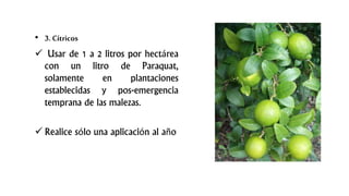 • 3. Cítricos
 Usar de 1 a 2 litros por hectárea
con un litro de Paraquat,
solamente en plantaciones
establecidas y pos-emergencia
temprana de las malezas.
 Realice sólo una aplicación al año
 