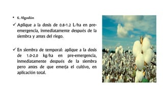 • 6. Algodón
 Aplique a la dosis de 0.8-1.2 L/ha en pre-
emergencia, inmediatamente después de la
siembra y antes del riego.
 En siembra de temporal: aplique a la dosis
de 1.0-2.0 kg/ha en pre-emergencia,
inmediatamente después de la siembra
pero antes de que emerja el cultivo, en
aplicación total.
 