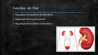Funções do Rim


Regulação do equilíbrio de eletrólitos



Regulação da Pressão arterial



Regulação do equilíbrio ácido-básico

 
