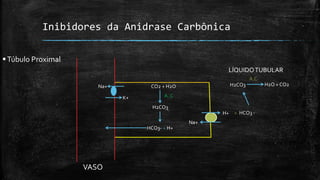 Inibidores da Anidrase Carbônica
 Túbulo Proximal
LÍQUIDO TUBULAR
A.C
Na+

H2CO3

CO2 + H2O
K+

A. C

H2CO3
H+
Na+
HCO3- + H+

VASO

+ HCO3 -

H2O + CO2

 