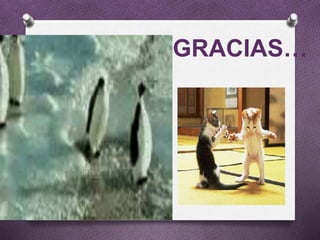 GRACIAS…
 
