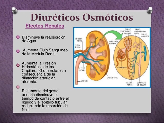 Diuréticos osmóticos