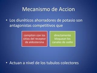 Mecanismo de Accion 
• Los diuréticos ahorradores de potasio son 
antagonistas competitivos que 
compiten con los 
sitios del receptor 
de aldosterona 
directamente 
bloquean los 
canales de sodio 
• Actuan a nivel de los tubulos colectores 
 