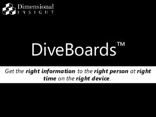 DiveTab™
Get the right information to the right person
at right time on the right device.
 