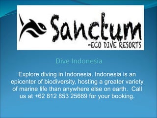 Explore diving in Indonesia. Indonesia is an
epicenter of biodiversity, hosting a greater variety
of marine life than anywhere else on earth. Call
us at +62 812 853 25669 for your booking.
 