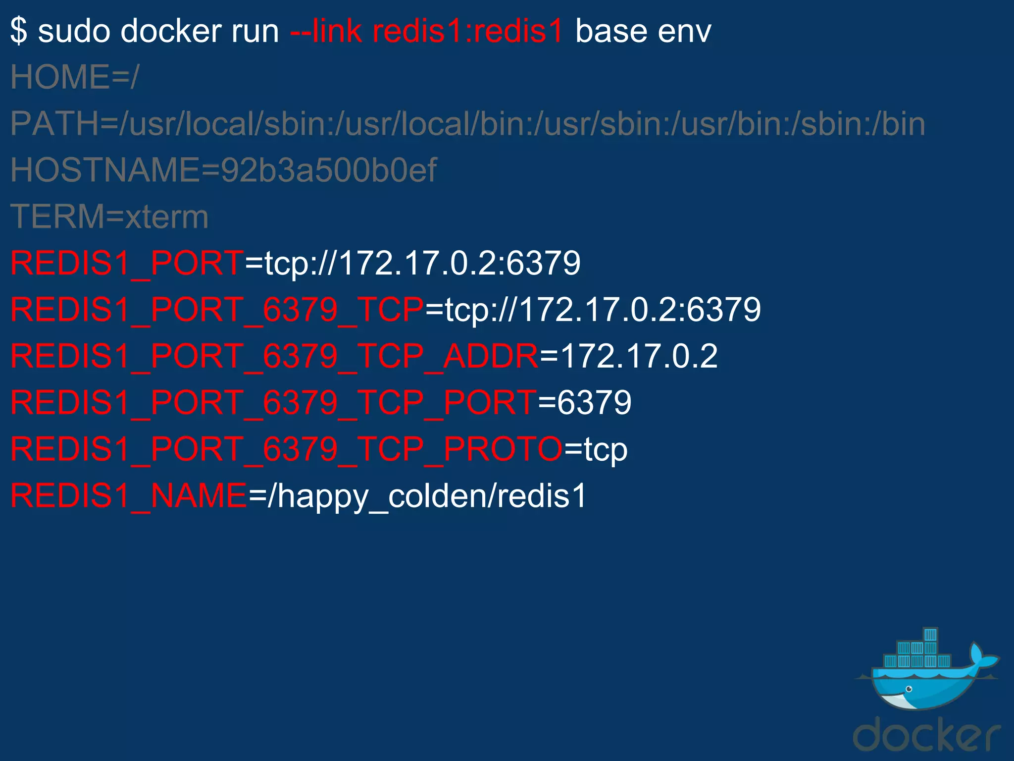 $ sudo docker run --link redis1:redis1 base env
HOME=/
PATH=/usr/local/sbin:/usr/local/bin:/usr/sbin:/usr/bin:/sbin:/bin
HOSTNAME=92b3a500b0ef
TERM=xterm
REDIS1_PORT=tcp://172.17.0.2:6379
REDIS1_PORT_6379_TCP=tcp://172.17.0.2:6379
REDIS1_PORT_6379_TCP_ADDR=172.17.0.2
REDIS1_PORT_6379_TCP_PORT=6379
REDIS1_PORT_6379_TCP_PROTO=tcp
REDIS1_NAME=/happy_colden/redis1
 