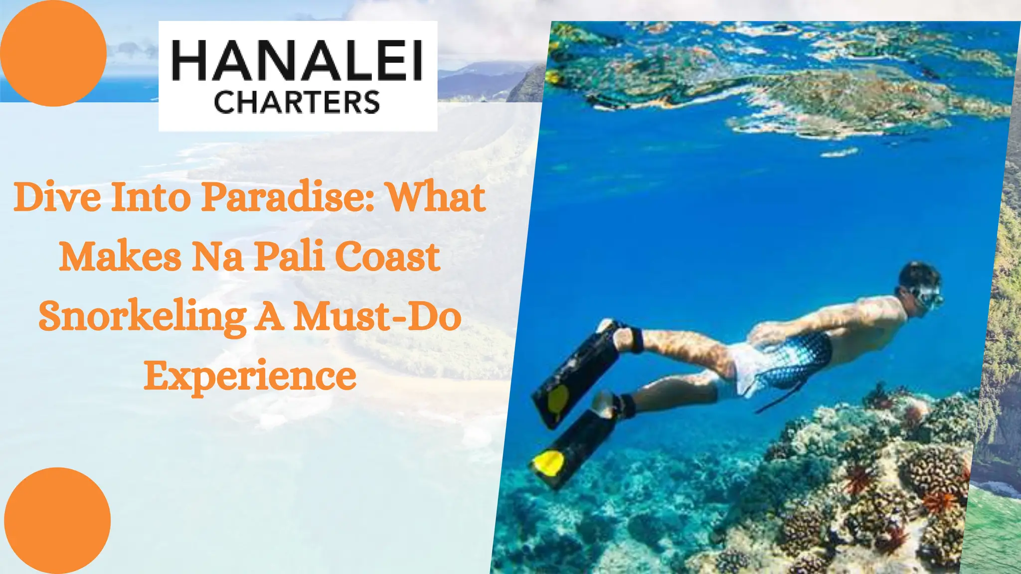 Dive Into Paradise What Makes Na Pali Coast Snorkeling A MustDo