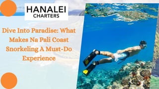 Dive Into Paradise: What
Makes Na Pali Coast
Snorkeling A Must-Do
Experience
 