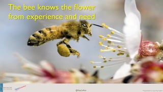 RAY 
GALLON 
C U LT U R E C O M 
Presentation 
@RayGallon 
© 
2014 
Ray 
Gallon 
The bee knows the flower 
from experience and need 
h"p://es.slideshare.net/gretacalinda/natures-­‐beauty 
 