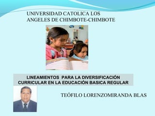UNIVERSIDAD CATOLICA LOS
ANGELES DE CHIMBOTE-CHIMBOTE

LINEAMIENTOS PARA LA DIVERSIFICACIÓN
CURRICULAR EN LA EDUCACIÓN BASICA REGULAR

TEÓFILO LORENZOMIRANDA BLAS

 