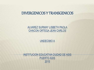ALVAREZ SURMAY LISBETH PAOLA
CHACON ORTEGA JEAN CARLOS
UNDECIMO A
INSTITUCION EDUCATIVA CIUDAD DE ASIS
PUERTO ASIS
2015
DIVERGENICOS Y TRANSGENICOS
 