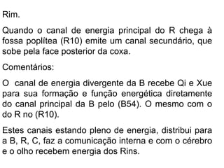 Rim.
Quando o canal de energia principal do R chega à
fossa poplítea (R10) emite um canal secundário, que
sobe pela face posterior da coxa.
Comentários:
O canal de energia divergente da B recebe Qi e Xue
para sua formação e função energética diretamente
do canal principal da B pelo (B54). O mesmo com o
do R no (R10).
Estes canais estando pleno de energia, distribui para
a B, R, C, faz a comunicação interna e com o cérebro
e o olho recebem energia dos Rins.
 