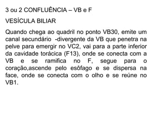 3 ou 2 CONFLUÊNCIA – VB e F
VESÍCULA BILIAR
Quando chega ao quadril no ponto VB30, emite um
canal secundário -divergente da VB que penetra na
pelve para emergir no VC2, vai para a parte inferior
da cavidade torácica (F13), onde se conecta com a
VB e se ramifica no F, segue para o
coração,ascende pelo esôfago e se dispersa na
face, onde se conecta com o olho e se reúne no
VB1.
 