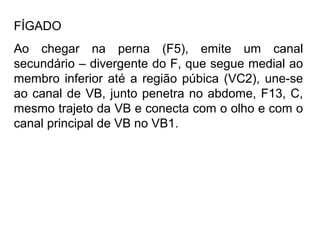 FÍGADO
Ao chegar na perna (F5), emite um canal
secundário – divergente do F, que segue medial ao
membro inferior até a região púbica (VC2), une-se
ao canal de VB, junto penetra no abdome, F13, C,
mesmo trajeto da VB e conecta com o olho e com o
canal principal de VB no VB1.
 