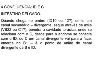 4 CONFLUÊNCIA: ID E C
INTESTINO DELGADO.
Quando chega no ombro (ID10 ou 12?), emite um
canal secundário – divergente, segue através da axila
(VB22 ou C1?), penetra a cavidade torácica, onde se
relaciona com o C, desce para o abdome se conecta
com o ID, do C um canal divergente vai para a face,
emerge no B1 – é o ponto de união do canal
divergente da B e ID.
 