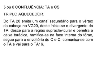 5 ou 6 CONFLUÊNCIA: TA e CS
TRIPLO AQUECEDOR.
Do TA 20 emite um canal secundário para o vértex
da cabeça no VG20, deste inicia-se o divergente do
TA, desce para a região supraclavicular e penetra a
caixa torácica, ramifica-se na face interna do tórax,
segue para o envoltório do C e C, comunica-se com
o TA e vai para o TA16.
 