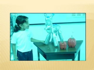 Diverificación del plástico