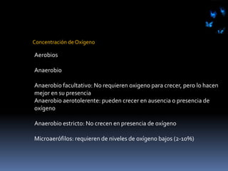 Factores de crecimientoSon compuestos orgánicos necesarios para los componentes celulares que no pueden ser sintetizados por los microorganismosAminoácidosPurinas y pirimidinasVitaminas
