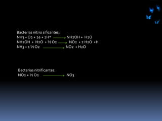 Concentración de OxígenoAerobiosAnaerobioAnaerobio facultativo: No requieren oxigeno para crecer, pero lo hacen mejor en su presenciaAnaerobio aerotolerente: pueden crecer en ausencia o presencia de oxígenoAnaerobio estricto: No crecen en presencia de oxígenoMicroaerófilos: requieren de niveles de oxígeno bajos (2-10%)