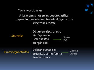 Por radiaciónObtienen su energía a partir de la oxidación de los compuestos orgánicos u inorgánicosQuimiótrofosEmplean a la luz como fuente de energíaFotótrofos