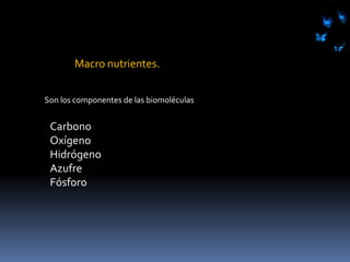 Organismos QuimioorganotrofosNO·SO4Aceptores orgánicos de electronesO2 Respiración aerobiaDesechan CO2Compuestos orgánicos