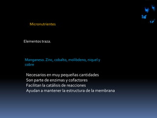 Macro nutrientes.Son los componentes de las biomoléculasCarbonoOxígenoHidrógenoAzufreFósforo