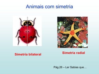 Animais com simetria




Simetria bilateral         Simetria radial



                     Pág.26 – Ler Sabias que…
 