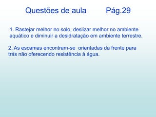 Questões de aula                   Pág.29

1. Rastejar melhor no solo, deslizar melhor no ambiente
aquático e diminuir a desidratação em ambiente terrestre.

2. As escamas encontram-se orientadas da frente para
trás não oferecendo resistência à água.
 
