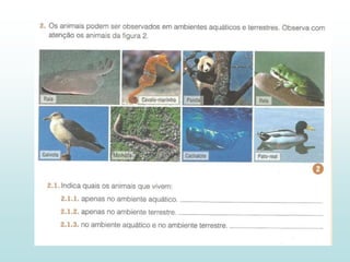 2 - Diversidade dos animais