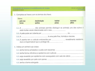 2 - Diversidade dos animais