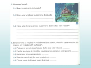 2 - Diversidade dos animais