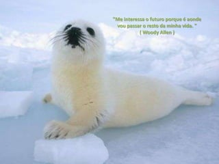 "Me interessa o futuro porque é aonde
 vou passar o resto da minha vida. "
           ( Woody Allen )
 