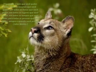 "Faça todo o bem que você puder,
   com todos os recursos que você
 puder, por todos os meios que você
 puder, em todos os lugares que você
 puder, em todos os tempos que você
puder, para todas as pessoas que você
puder, sempre e quando você puder."
           ( John Wesley )
 