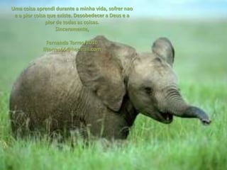 Uma coisa aprendi durante a minha vida, sofrer nao
 e a pior coisa que existe. Desobedecer a Deus e a
               pior de todas as coisas.
                    Sinceramente,

               Fernanda Torres/2010
             fftorres65@hotmail.com
 