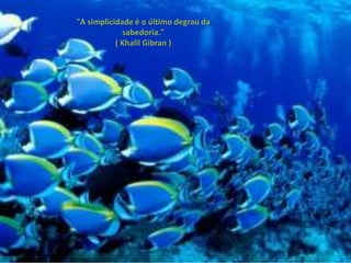 "A simplicidade é o último degrau da
             sabedoria."
           ( Khalil Gibran )
 