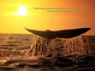 "Uma pessoa para compreender tem de se transformar."
            ( Antoine De Saint Exupery )
 