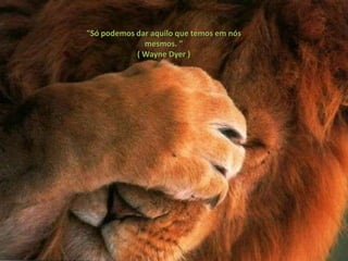 "Só podemos dar aquilo que temos em nós
              mesmos. "
            ( Wayne Dyer )
 