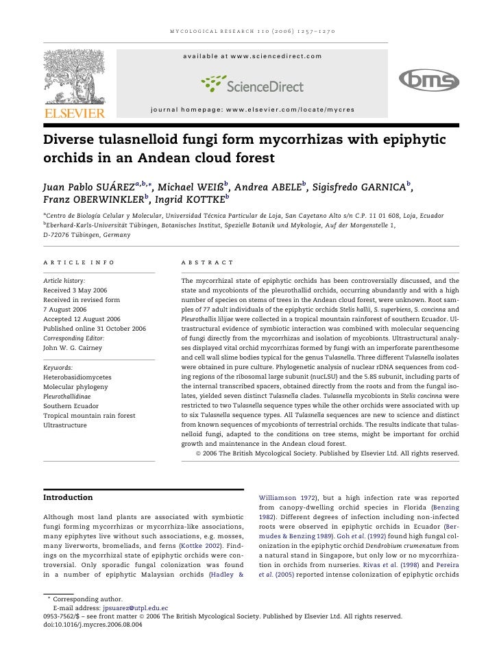 Diverse Tulasnelloid Fungi Form Mycorrhizas With Epiphytic Orchids In