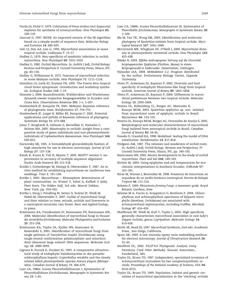 Pay for dissertation verbs