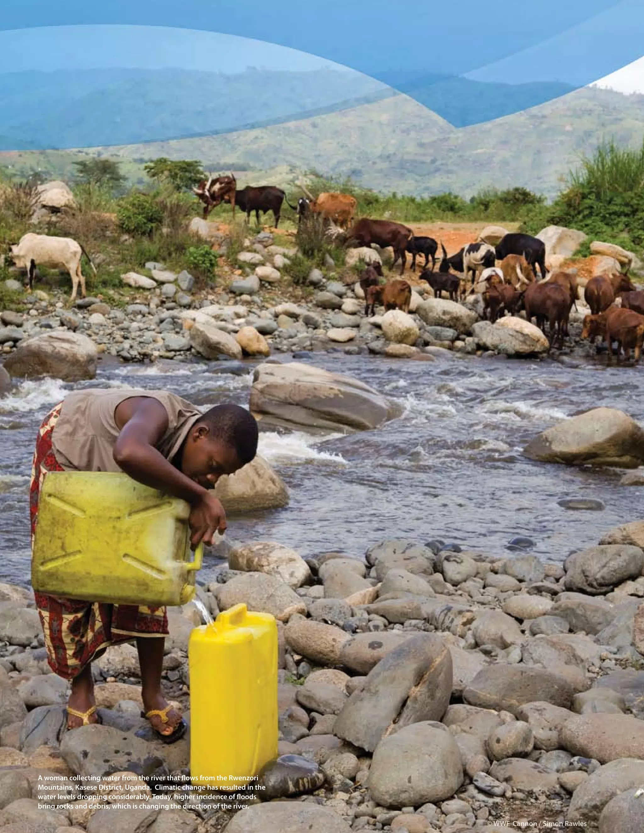 64 > 2009 Diversey Global Responsibility Report




a woman collecting water from the river that flows from the rwenzori
mountains, kasese District, uganda. climatic change has resulted in the
water levels dropping considerably. today, higher incidence of floods
bring rocks and debris, which is changing the direction of the river.

                                                                          © WWF-Cannon / Simon Rawles
 