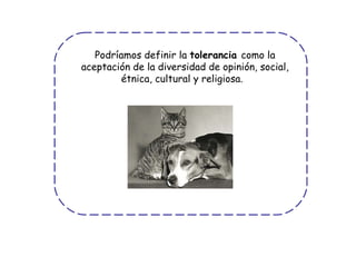 Podríamos definir la  tolerancia  como la aceptación de la diversidad de opinión, social, étnica, cultural y religiosa.   