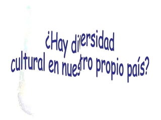 ¿Hay diversidad cultural en nuestro propio país? 