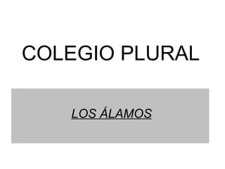COLEGIO PLURAL

   LOS ÁLAMOS
 