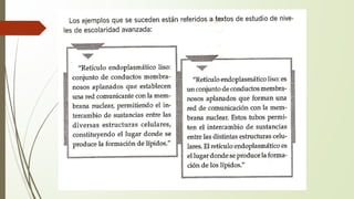 Atención a la Diversidad